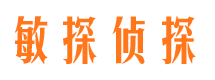 绥江市调查公司